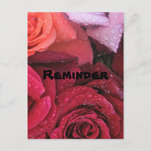 Elegante Rose Erinnerung Postkarte (Vorderseite)