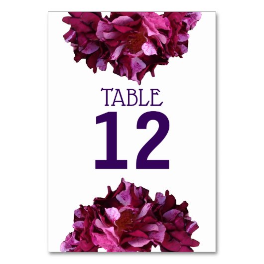 Elegante Rose Foto Number Card Tischnummer (Vorderseite)