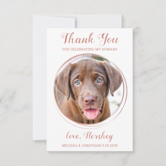 Elegante Rose Gold Custom Dog Foto Haustier Hochze Dankeskarte (Vorderseite)