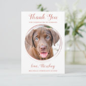 Elegante Rose Gold Custom Dog Foto Haustier Hochze Dankeskarte (Stehend Vorderseite)