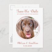 Elegante Rose Gold Custom Pet Foto Hochzeit Ankündigungspostkarte (Vorne/Hinten)