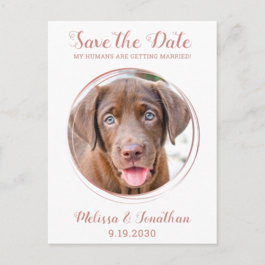 Elegante Rose Gold Custom Pet Foto Hochzeit Ankündigungspostkarte (Vorderseite)