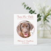 Elegante Rose Gold Custom Pet Foto Hochzeit Ankündigungspostkarte (Stehend Vorderseite)