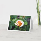 Elegante Rose Karte (Vorderseite)