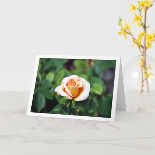 Elegante Rose Karte (Gelbe Blume)