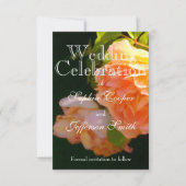 Elegante Rose mit orangefarbenen Pfirsichfarben Save The Date (Vorderseite)