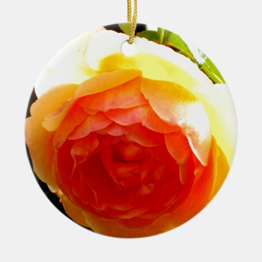 Elegante Rose mit roten Aprikosen/Marillen Keramikornament (Vorne)