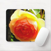Elegante Rose mit roten Aprikosen/Marillen Mousepad (Mit Mouse)