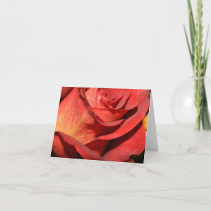 Elegante Rose Mitteilungskarten