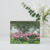 Elegante Rose Postkarte (Stehend Vorderseite)