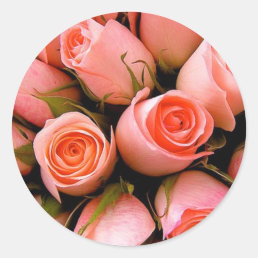 ELEGANTE ROSE UMSCHLAG AUFKLEBER STICKERS (Vorderseite)