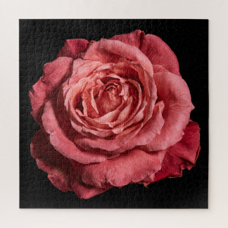 Elegante Rosensammlung auf Schwarz Puzzle