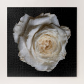 Elegante Rosensammlung auf Schwarz Puzzle (Horizontal)