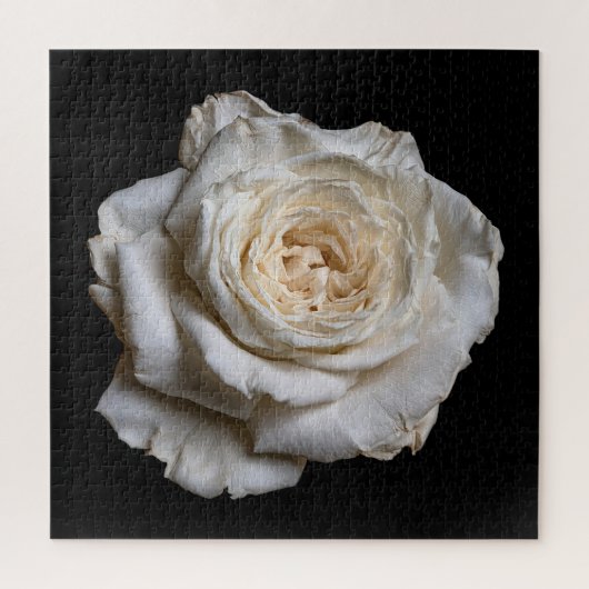Elegante Rosensammlung auf Schwarz Puzzle (Vertikal)