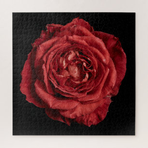 Elegante Rosensammlung auf Schwarz Puzzle