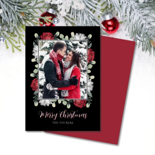 Elegante Rote Blüte am Schwarzen Foto Weihnachten