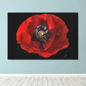 Elegante Rote Mohnblume Blume im Schwarzen Hinterg Leinwanddruck (Insitu (Holzboden))