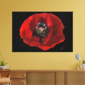 Elegante Rote Mohnblume Blume im Schwarzen Hinterg Leinwanddruck (Insitu (Wohnzimmer))