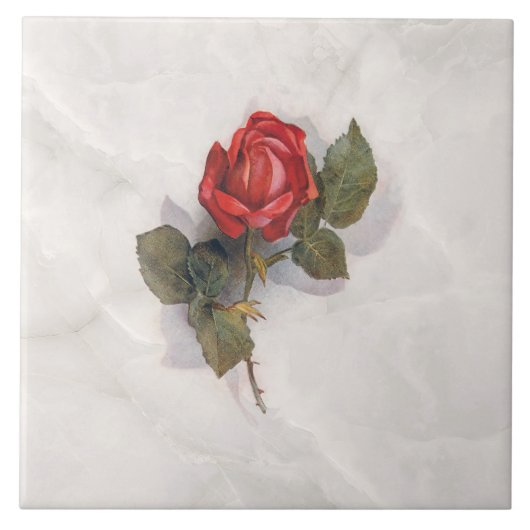 Elegante Rote Rose auf Gray Marble BG Fliese (Vorderseite)