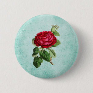 Elegante rote Rose auf vintage mintgrünem Hintergr Button
