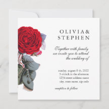 Elegante rote Rose im Garten. Schöne Blumenhochzei