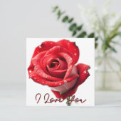 Elegante Rote Rose mit "I Liebe You"-Script Karte (Stehend Vorderseite)