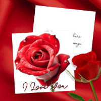 Elegante Rote Rose mit "I Liebe You"-Script