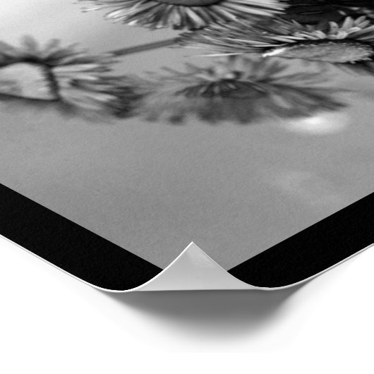 Elegante Rote Rose Poster (Ecke)