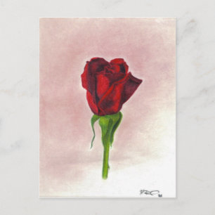 Elegante Rote Rose von CricketDiane Postkarte