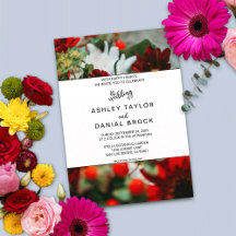 Elegante rote Rosen blühen Blume blumenreiche Hoch