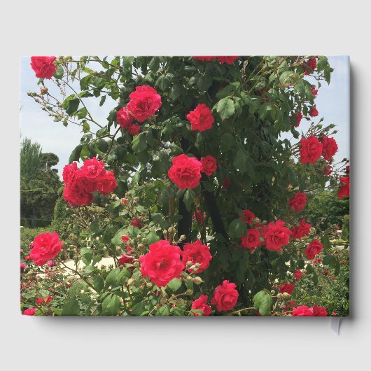 Elegante Rote Rosen Gästebuch (Rückseite)