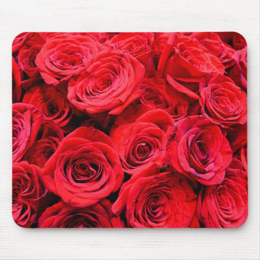 Elegante rote Rosen Rote Blume Rote Blüte Mousepad (Vorne)