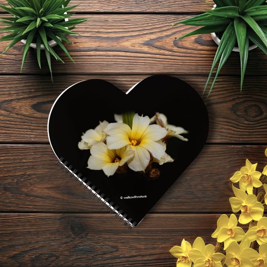 Elegante Satin-Blume auf Schwarz Notizblock