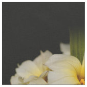 Elegante Satin-Blume auf Schwarz Stoff (Nahaufnahme)
