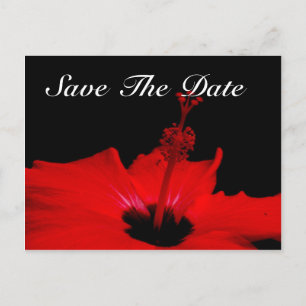 Elegante Save the Date Postkarte
