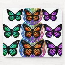 Elegante Schmetterlinge farbenfrohe Blume des Lebe