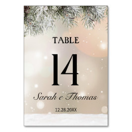 Elegante schneebedeckte Weihnachtsfeiertage Tischn Tischnummer