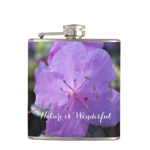 elegante, schöne Frühlings-Violett-Azaleenblüten. Flachmann