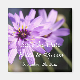 Elegante, schöne lila Daisy Save-the-Date Magnet