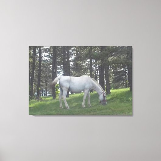 Elegante Schönes Weißes Pferd Original Kunst, Dich Leinwanddruck (Vorderseite)