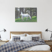 Elegante Schönes Weißes Pferd Original Kunst, Dich Leinwanddruck (Insitu (Schlafzimmer))
