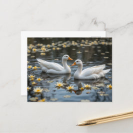 Elegante Schwäne am Mondlichtsee Postkarte