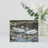 Elegante Schwäne am Mondlichtsee Postkarte (Stehend Vorderseite)