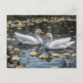 Elegante Schwäne am Mondlichtsee Postkarte (Vorderseite)