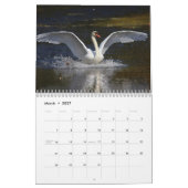 Elegante Schwäne Kalender (Mär 2027)
