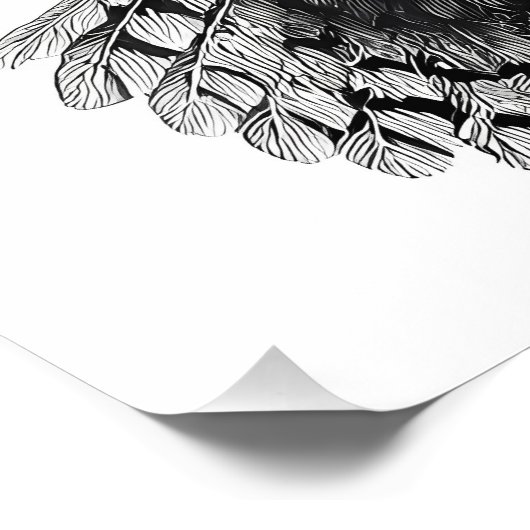 Elegante Schwarz-weiße Barnowling-Illustration Fotodruck (Ecke)