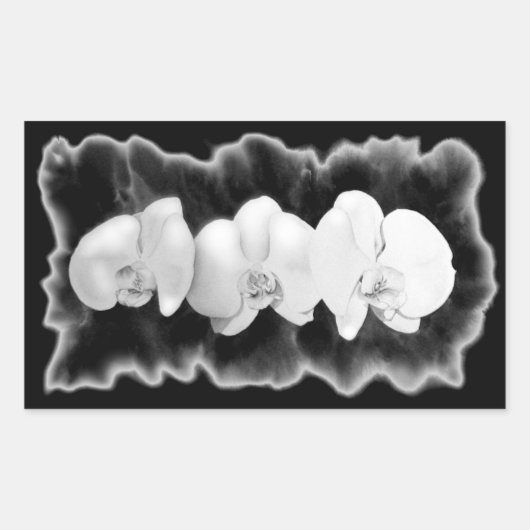 Elegante Schwarz-weiße Orchideen Rechteckiger Aufkleber (Vorderseite)