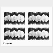 Elegante Schwarz-weiße Orchideen Rechteckiger Aufkleber (Blatt)