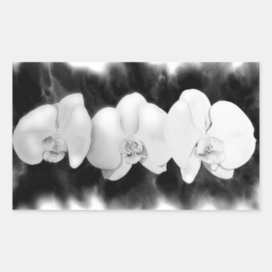Elegante Schwarz-weiße Orchideen Rechteckiger Aufkleber (Vorderseite)