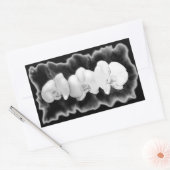 Elegante Schwarz-weiße tropische Orchideen Rechteckiger Aufkleber (Umschlag)